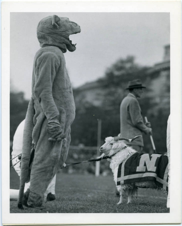 Navy Goats: Bill X