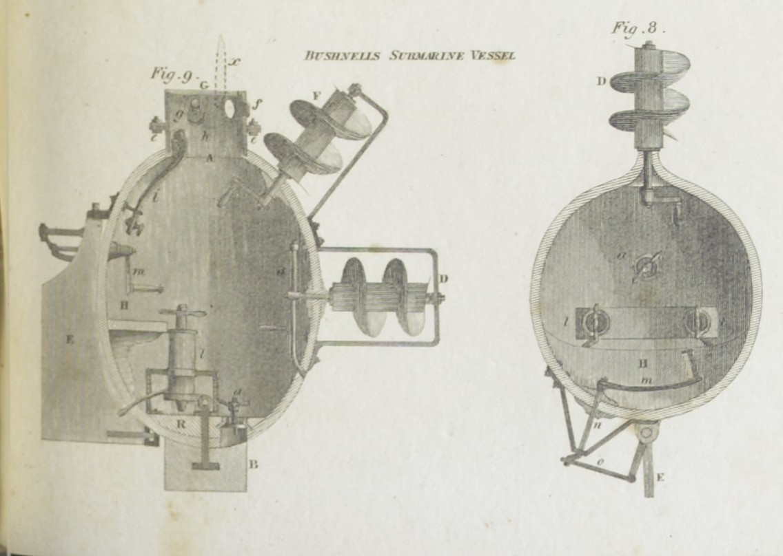 Image of the Turtle
