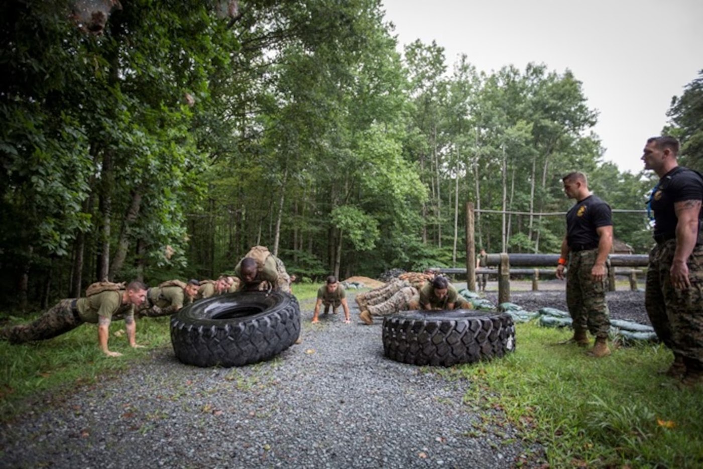 Force Fitness Instructor training — Force Fitness Instructor summer training