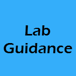 Lab Guidance